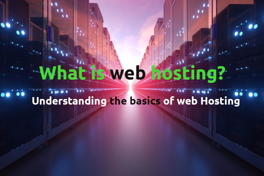 what is web hosting