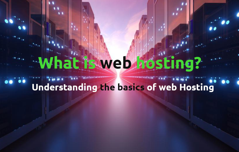 what is web hosting